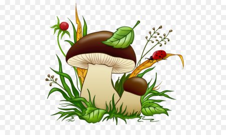 Грибы мультяшные