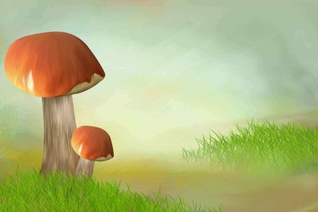 Грибы фон