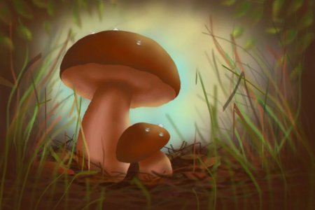 Маленькие грибочки