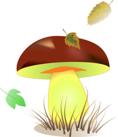 Грибочки для детей