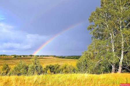 Россия Родина моя природа