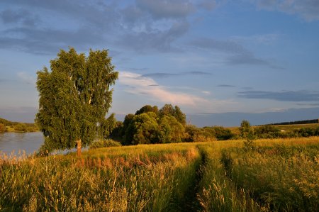 Пейзаж Родины