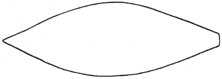 Лепесток черно белый