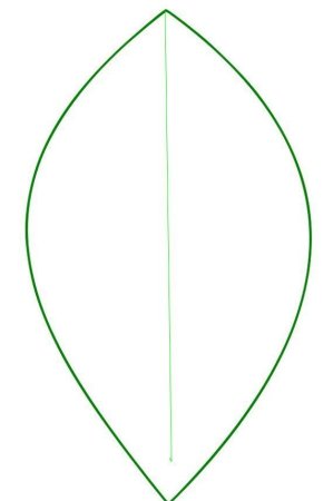 Шаблон листочка для цветка