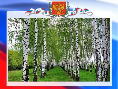 Родина для дошкольников