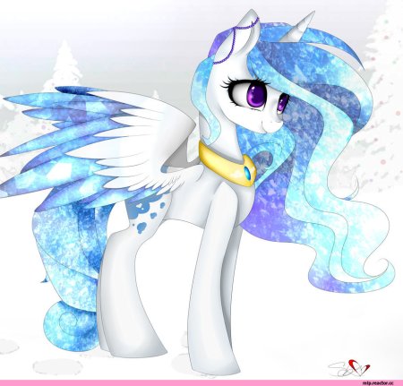 Пони Аликорн