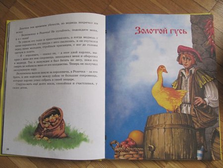 Золотой Гусь братья Гримм книга
