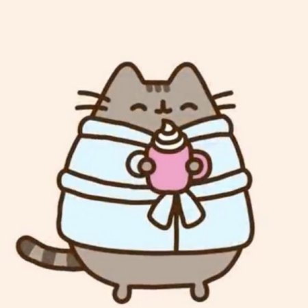 Пушин Кэт школа