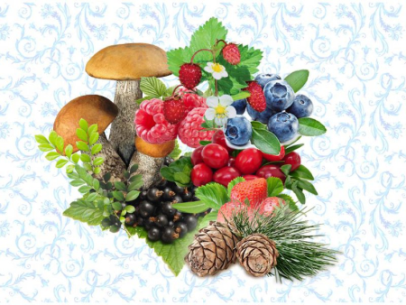 Грибы и ягоды для детей