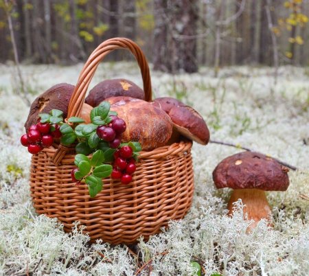 Осенняя корзинка