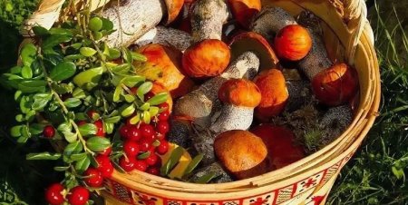 Корзинка с грибами и ягодами