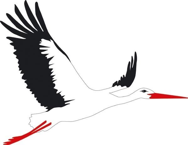 Аист контур