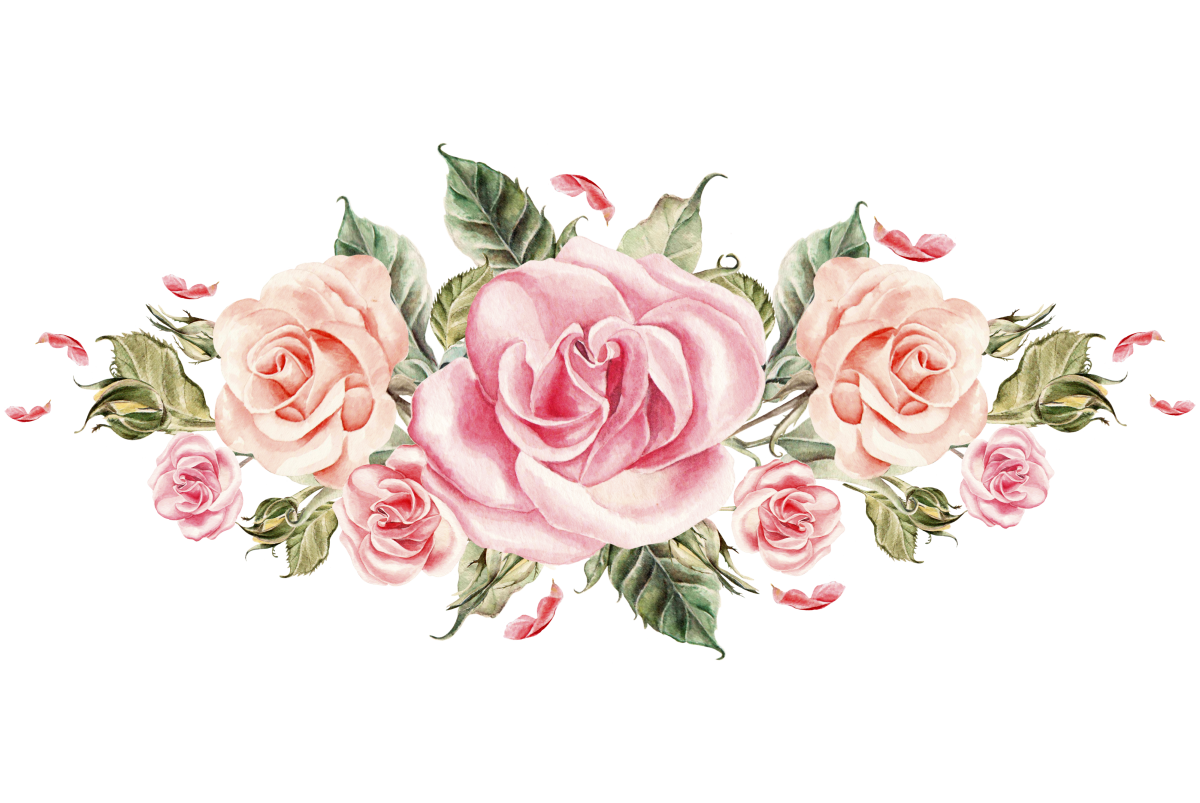 Розовый цветок нарисованный. Винтажные цветы. Розовые цветы на белом фоне.