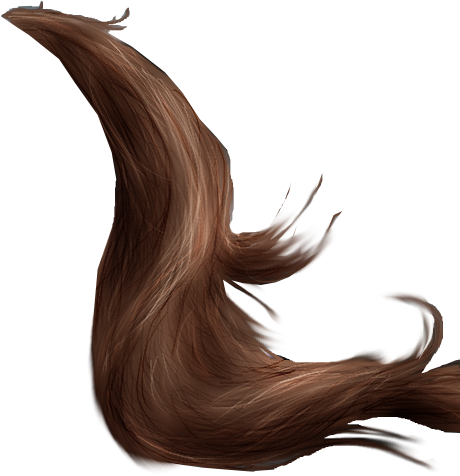 Хвост волосы мультяшный