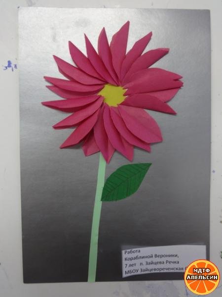 Аппликации астра (44 фото)