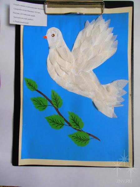Голубь аппликация для детей