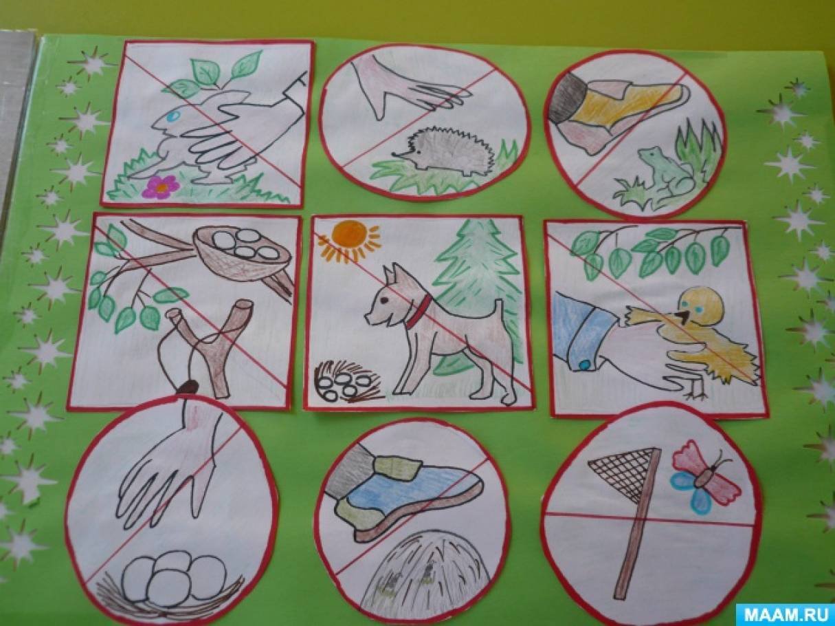 Рисунки по защите природы для детей. Рисование безопасность в природе. Рисование берегите природу в старшей группе. Береги природу для детей. Плакат что нельзя делать