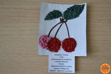 Аппликации брусника (45 фото)