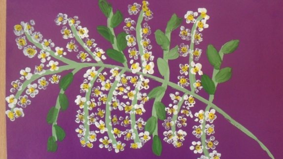 Рисование ветка черемухи в старшей группе