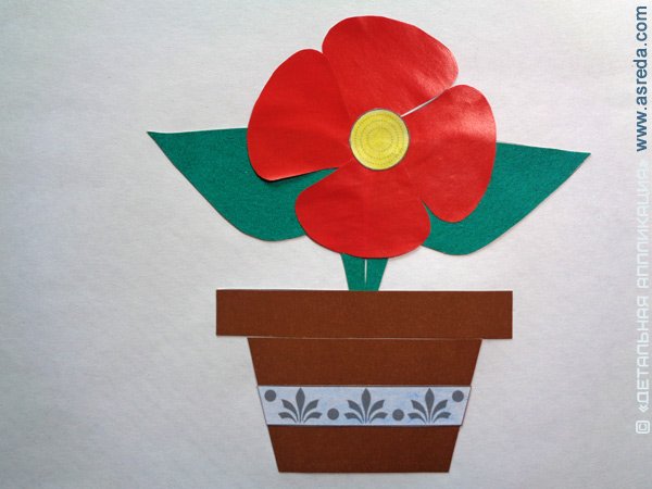 Аппликация Колдина комнатные растения старшая группа