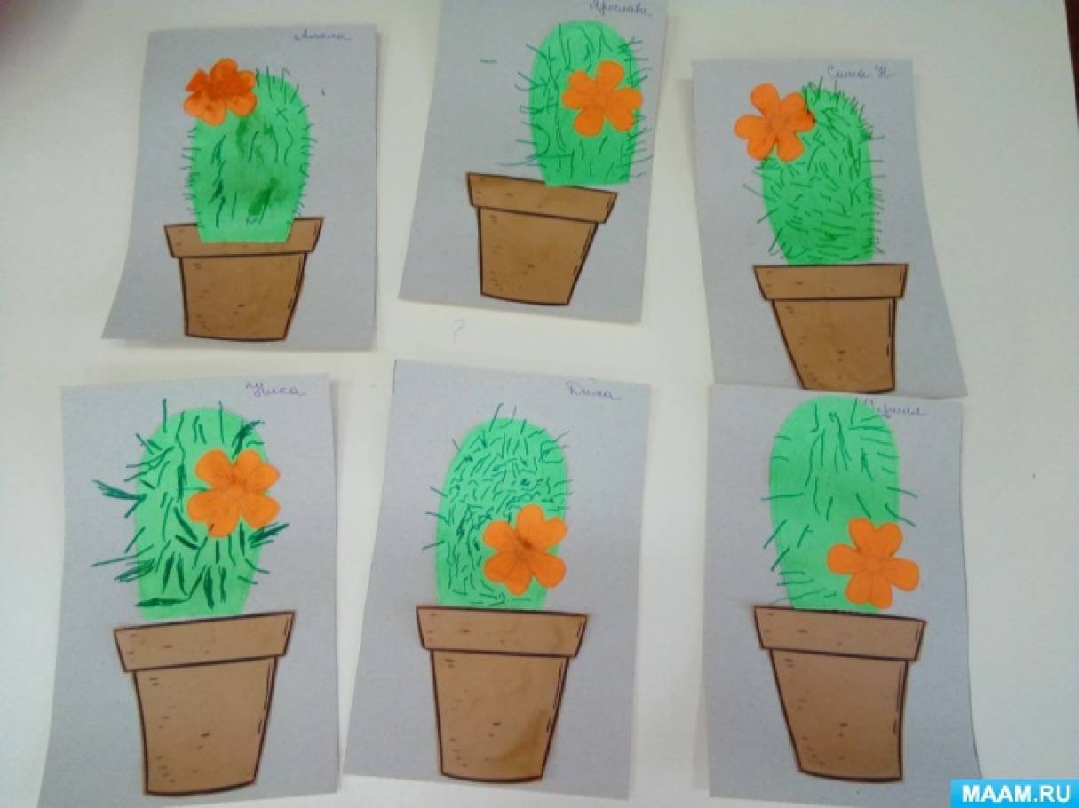 Планирование цветы средняя группа. Колдина рисование комнатные растения. Рисование комнатные растения старшая группа. Рисование комнатные растения младшая группа. Рисование комнатные растения средняя группа.