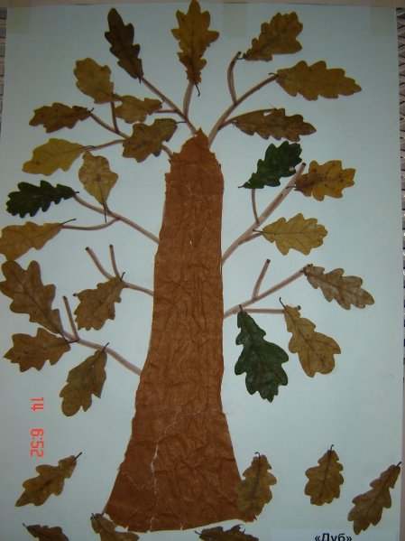 Поделки из листьев дуба