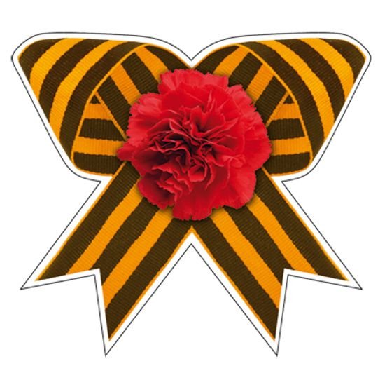 Георгиевская ленточка с гвоздикой