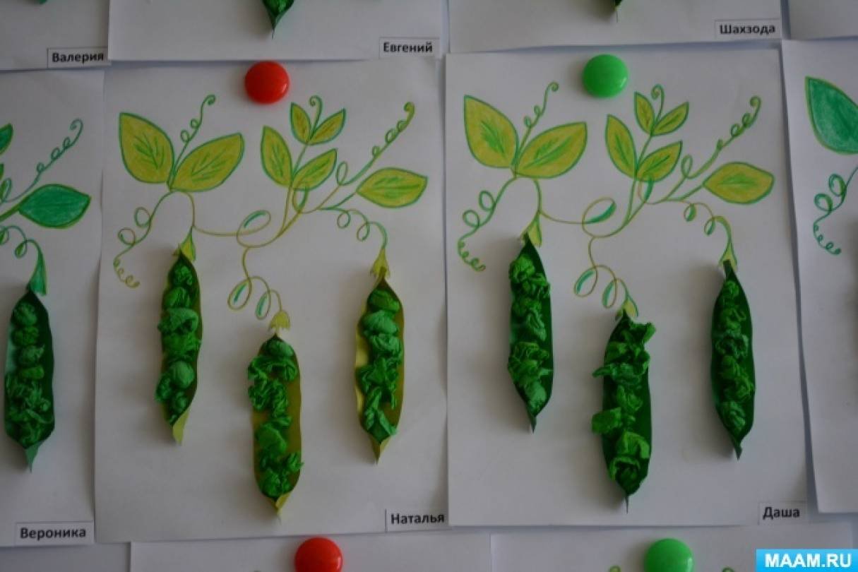 Овощи первая младшая группа. Рисование овощи в младшей группе детского сада. Рисование овощи старшая группа. Рисование овощи в средней группе. Овощи 2 младшая группа.