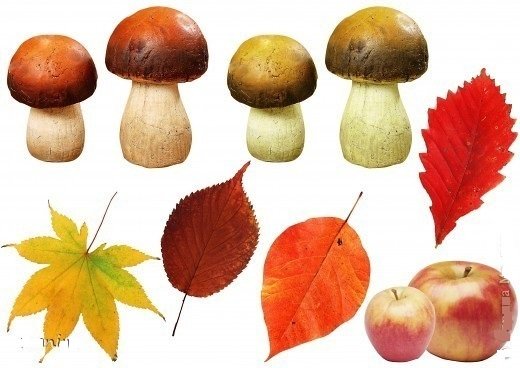 Грибочки на листе