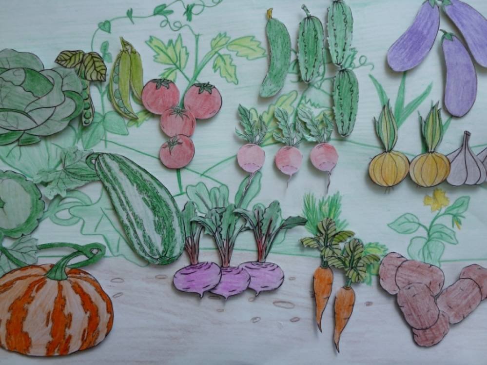 Рисование витамины средняя группа. Аппликация на тему сад и огород. Рисование овощи на грядке. Аппликация овощи на грядке. Поделки на тему овощи с грядки.