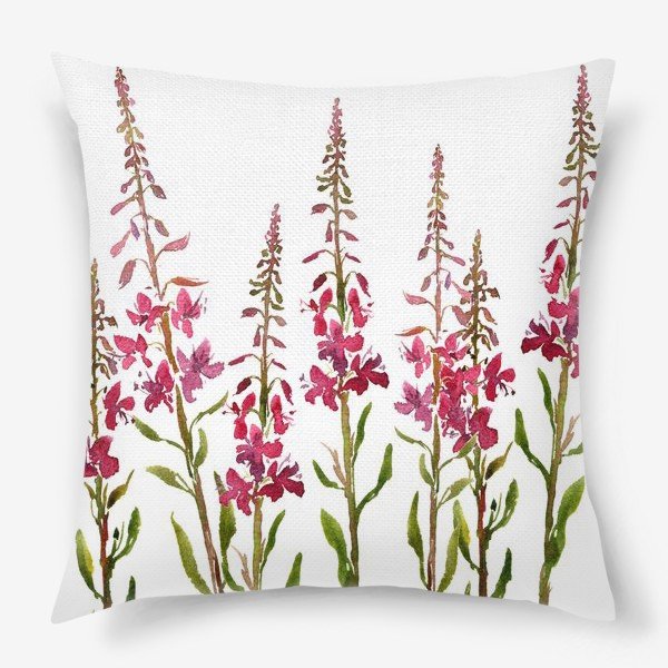 Иван чай кипрей акварель