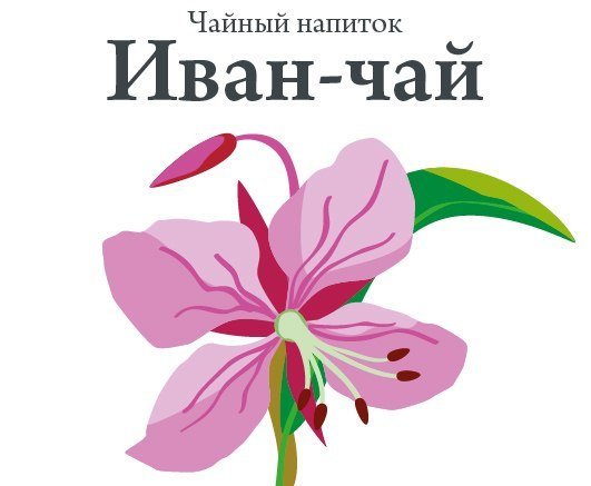 Иван чай надпись