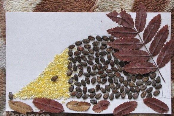 Осенние поделки из арбузных семечек