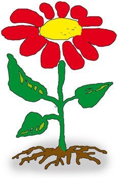 Части растений для дошкольников