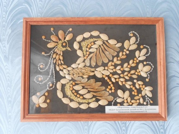 Жар птица из семян