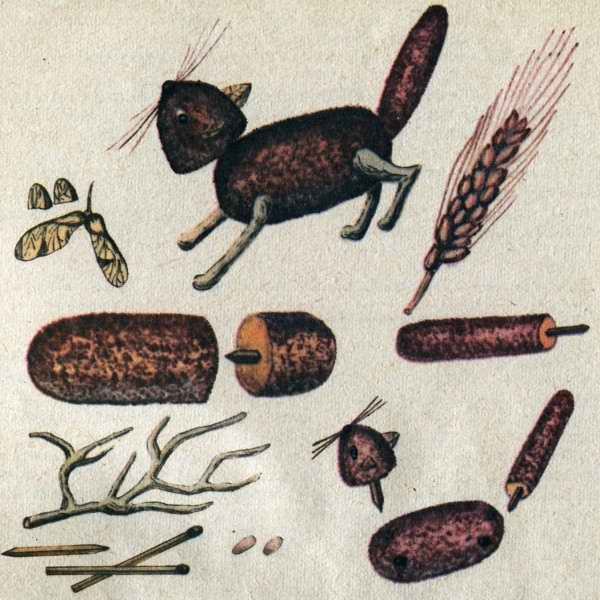 Природные материалы рогоз