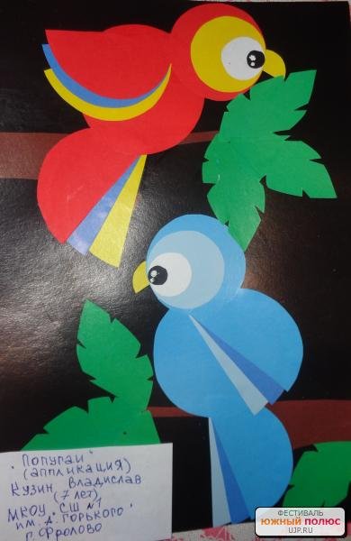 Аппликация попугай подготовительная группа
