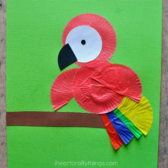 Аппликация попугай из цветной бумаги