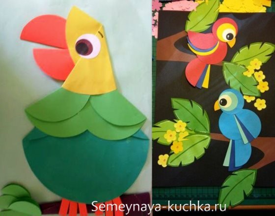 Попугай аппликация из бумаги