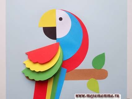 Попугай из кругов аппликация