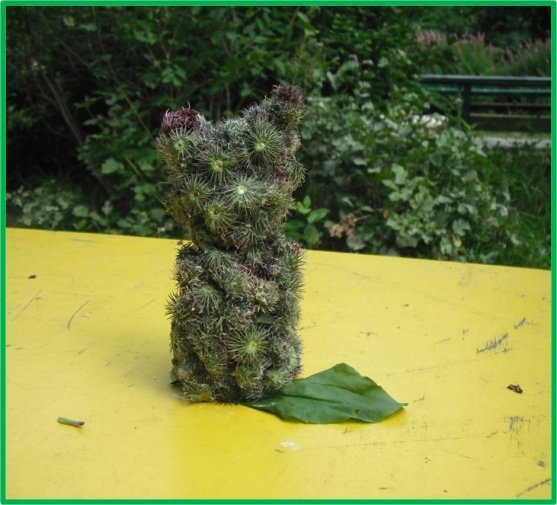 Фигуры из репейника