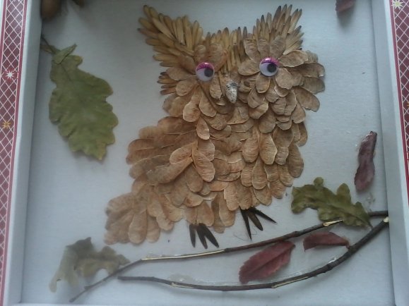 Сова из вертолетиков клена