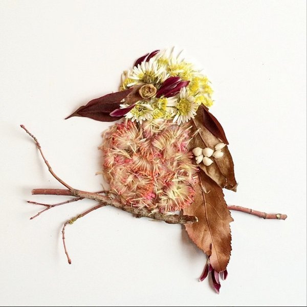 Птицы из засушенных цветов