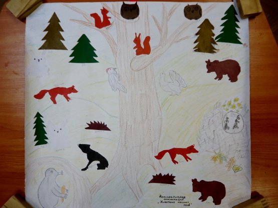 Аппликация Лесные животные старшая группа