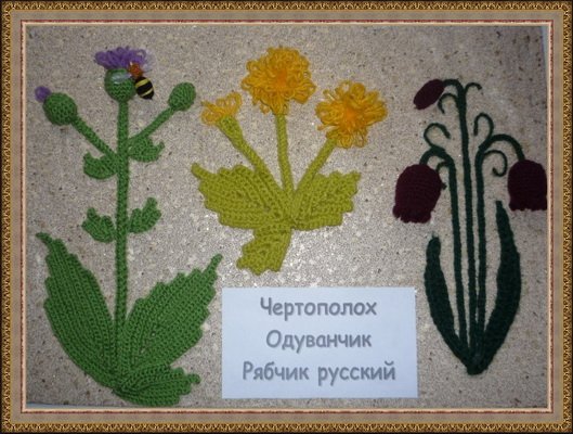 Поделка лекарственные растения