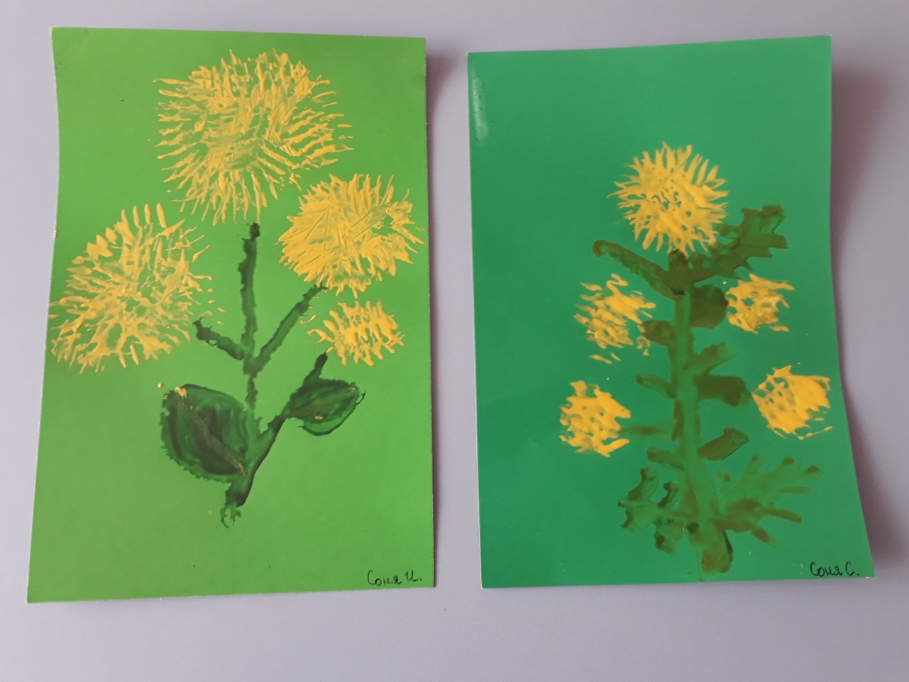 Рисование младшая группа тема растения. Аппликация одуванчик. Рисование одуванчика в средней группе. Аппликация на тему растения. Одуванчик аппликация для детей.