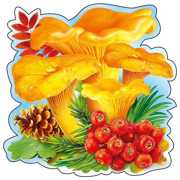 Грибы осенью для детей в детском саду