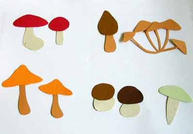 Аппликация грибы в старшей группе