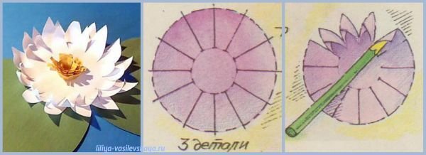 Кувшинка из бумаги для детей