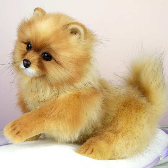 Аппликации меховые шпиц (41 фото)